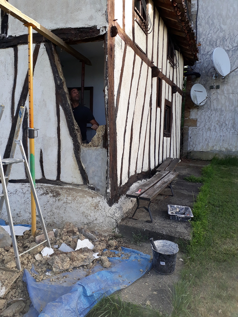 bats-in-the-wall-property-home-survive-france