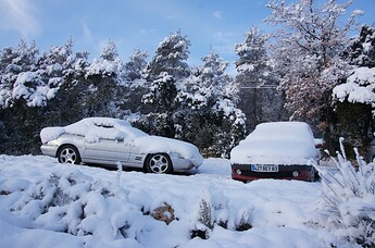 2013 02 Dragi Snow 610