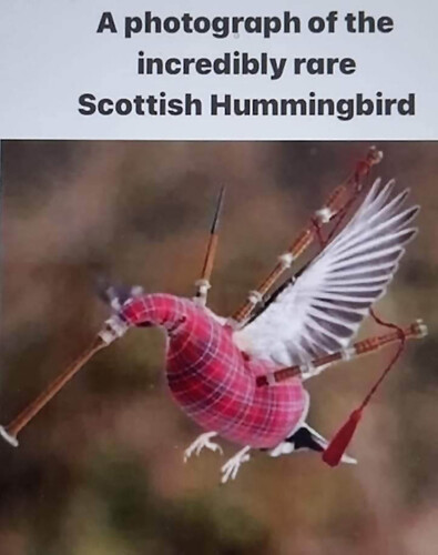 Hummingbag