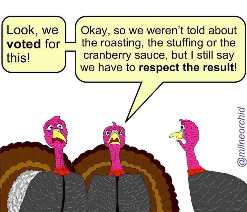 Turkeys