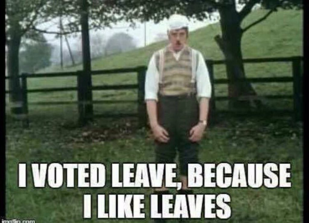 brexit%20leaves